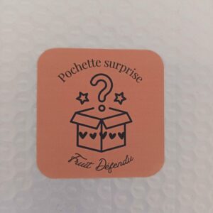 Pochettes surprise de Noël